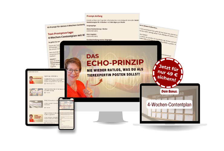 Mockup Kurs Echo Prinzip 49€b
